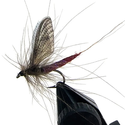 Riverruns Mayfly Super Sturdy Flies